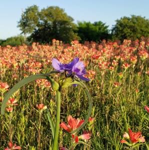 Meet your Posher, Danyelle